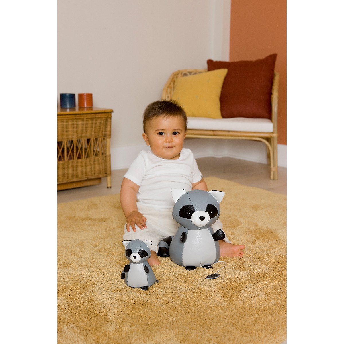 Musical Animals - Denver the Racoon