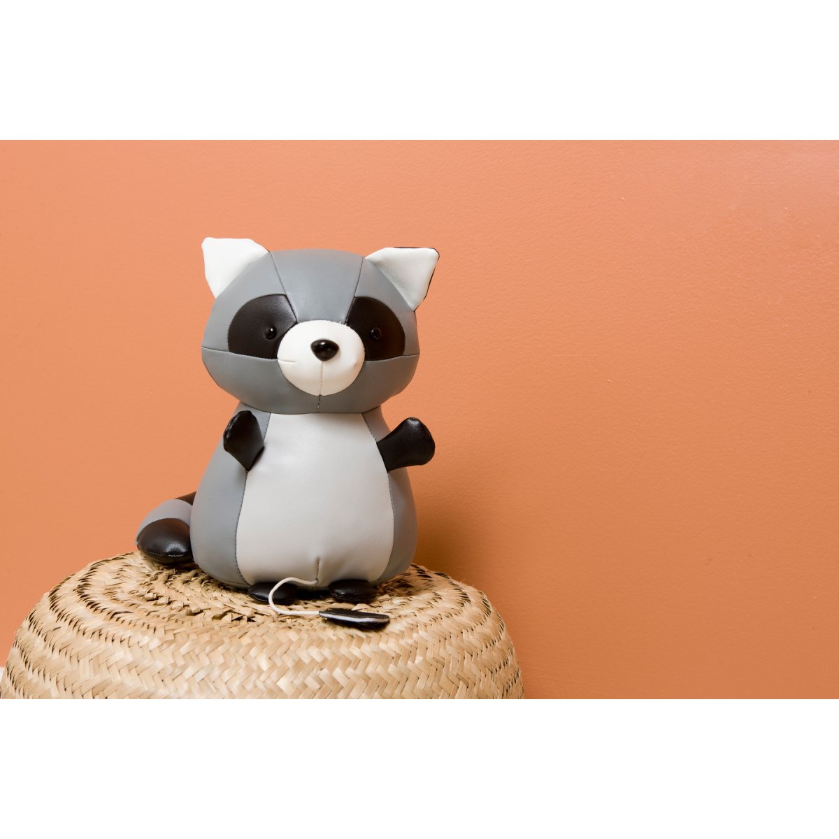 Musical Animals - Denver the Racoon