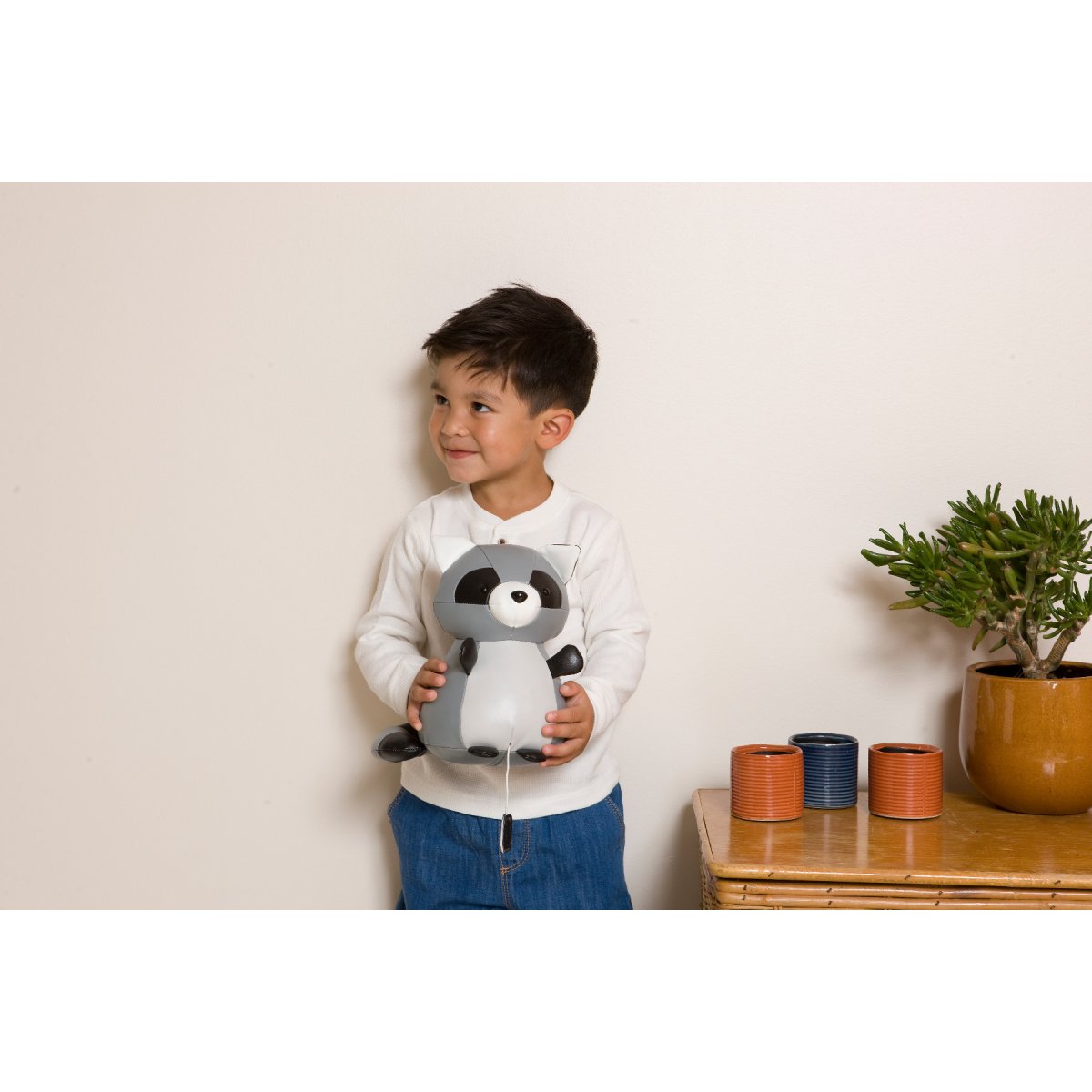 Musical Animals - Denver the Racoon