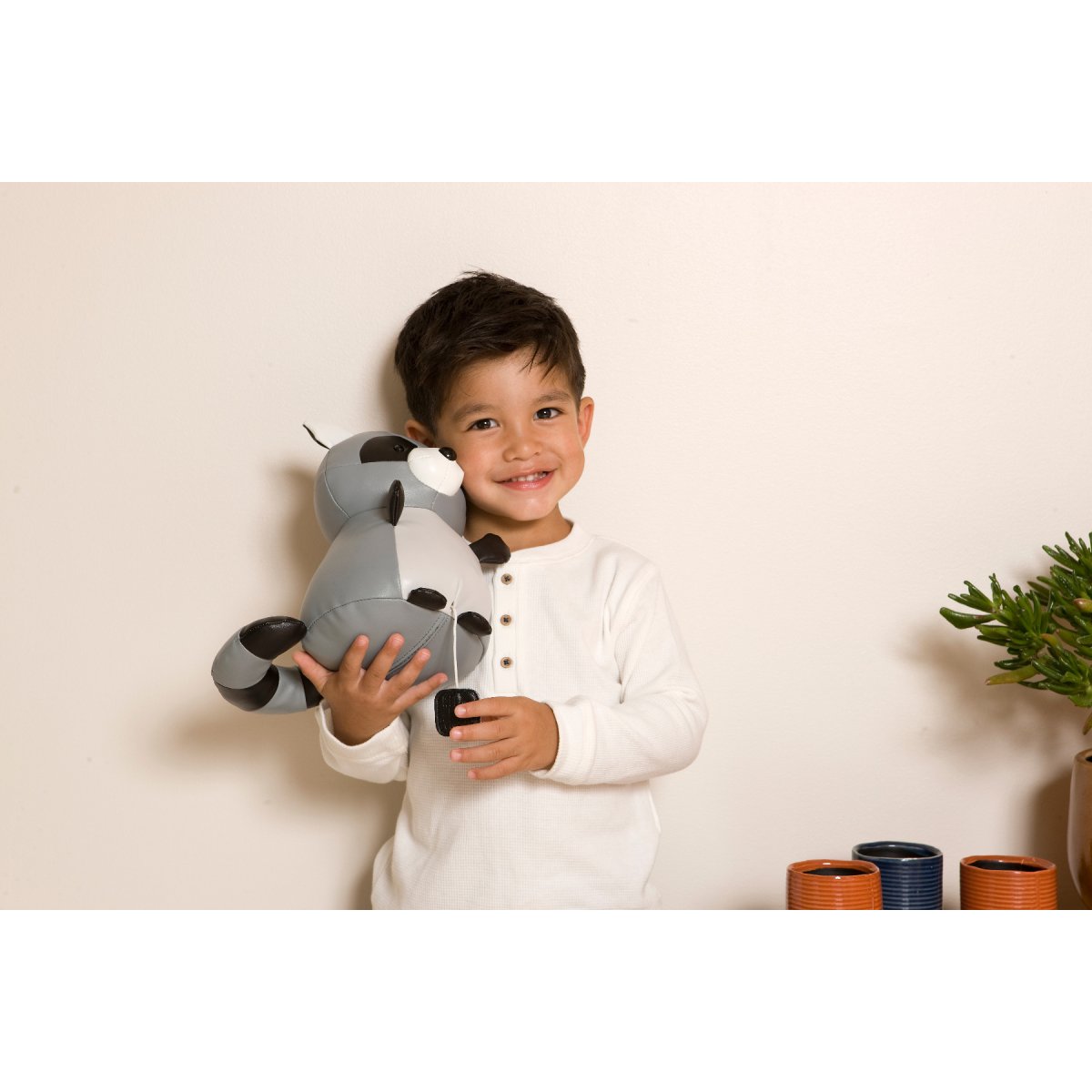 Musical Animals - Denver the Racoon