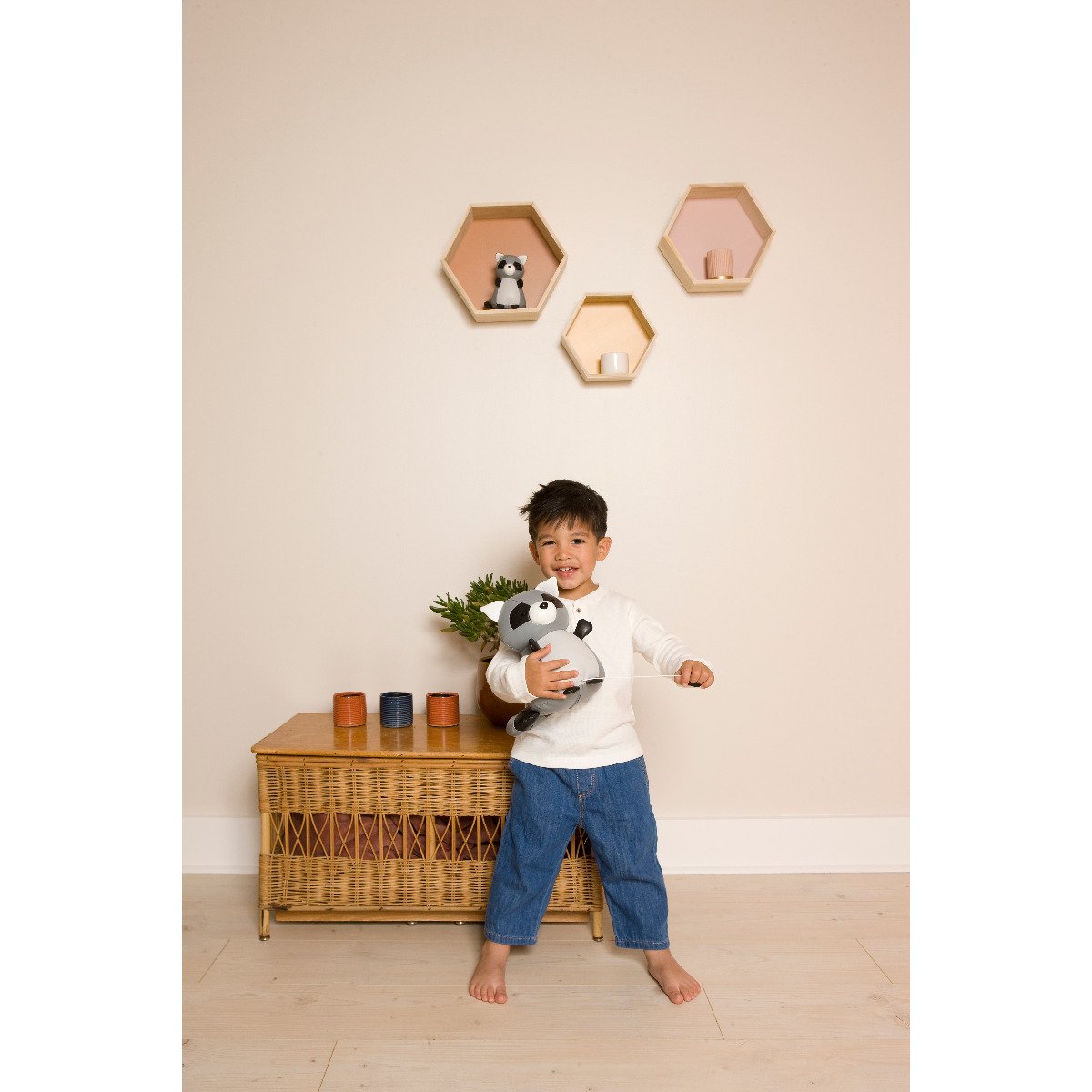 Musical Animals - Denver the Racoon