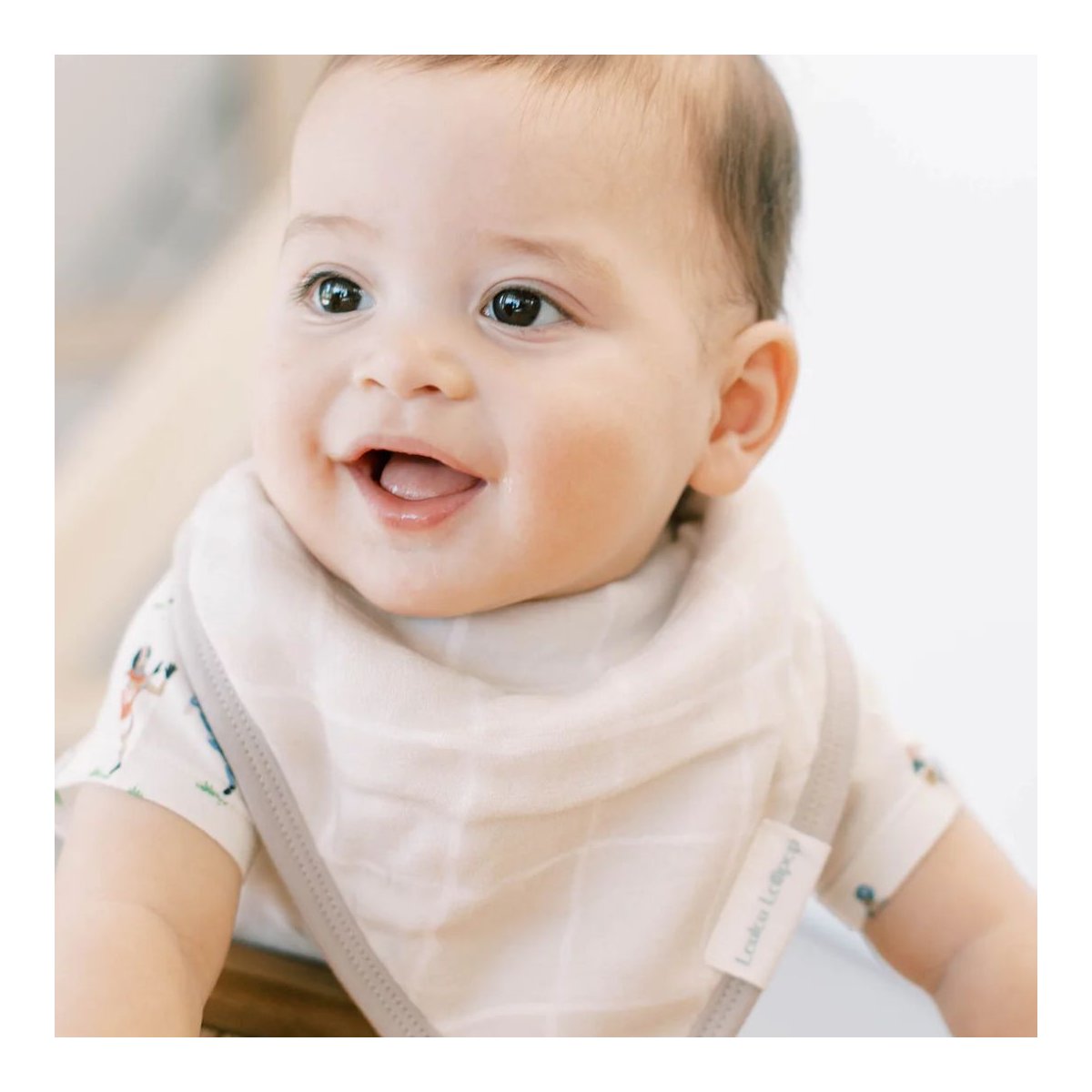 Bandana Bib 2 Pack - Football