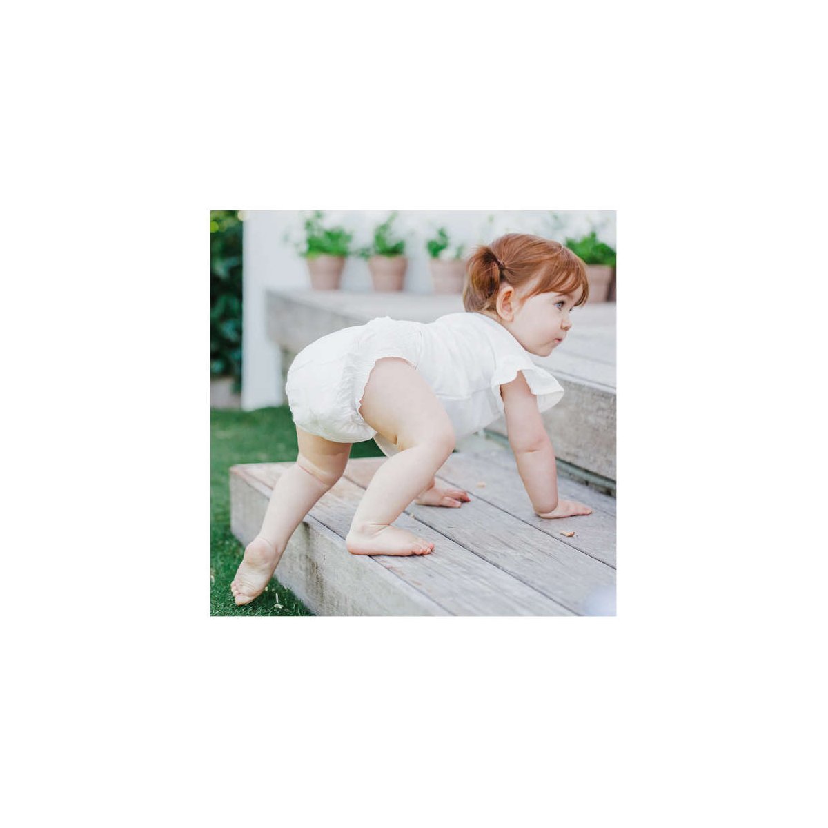 Plant - Based Diapers