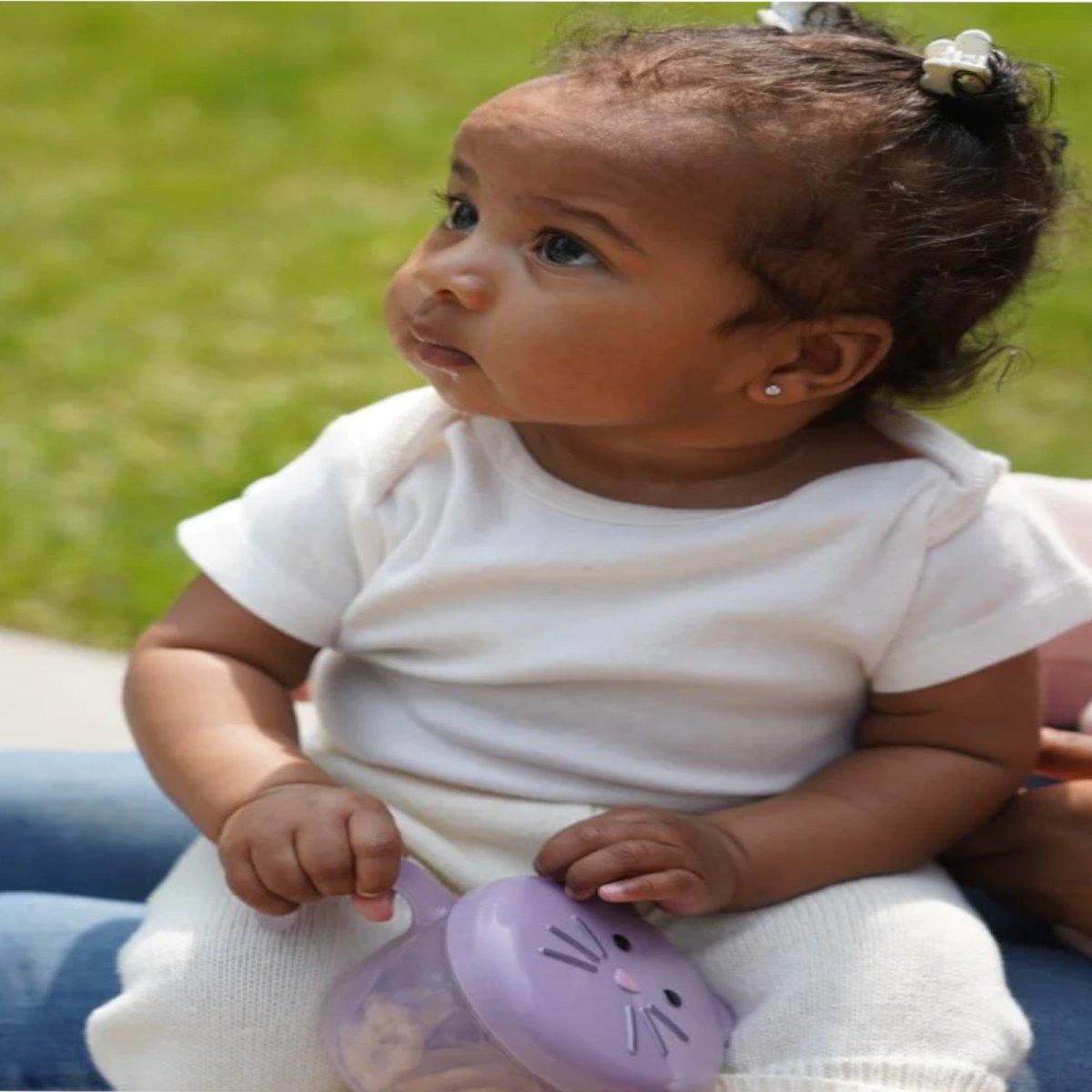 Snack Container with Finger Trap - Bulldog