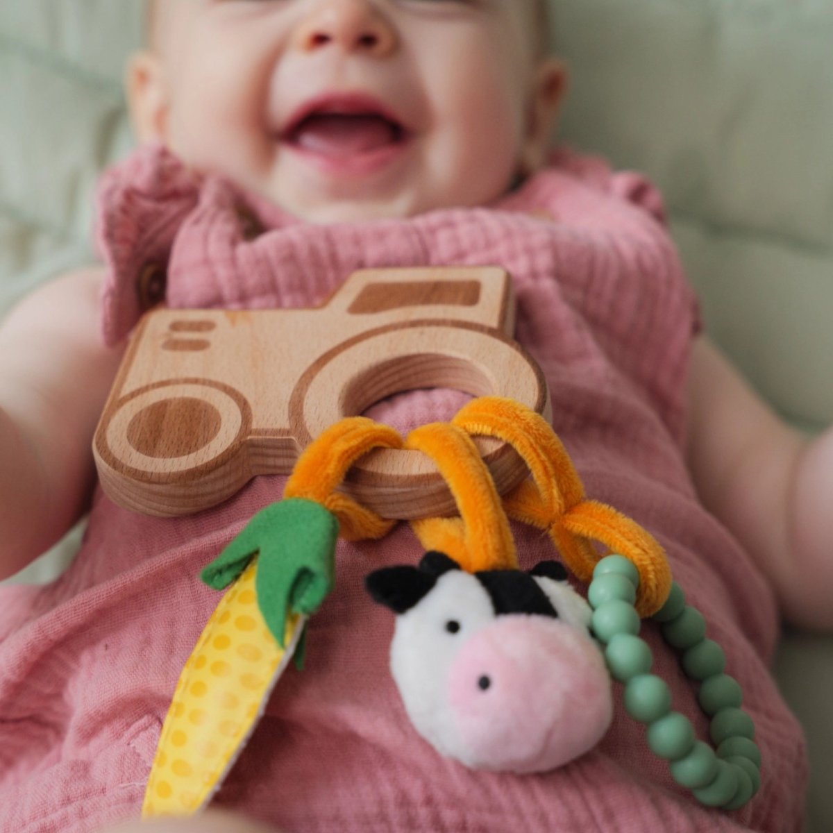 Wooden Rattle - Farm