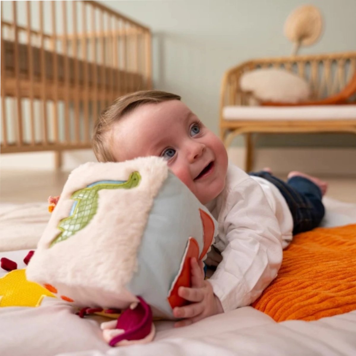 Activity Cube - Dino