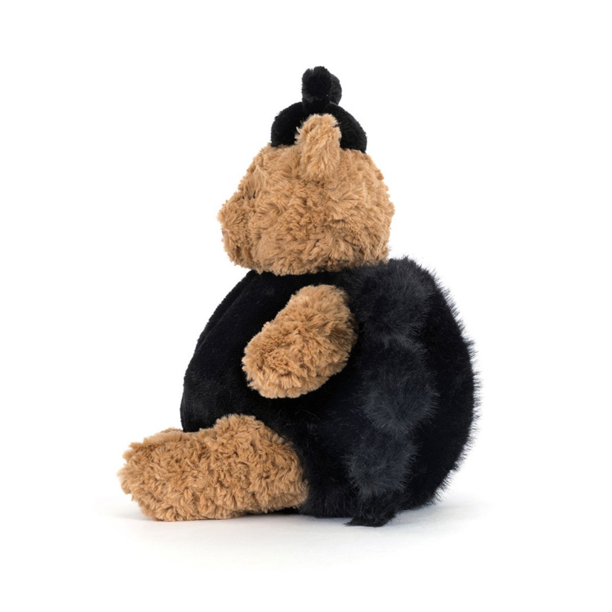 Bartholomew Bear Spider