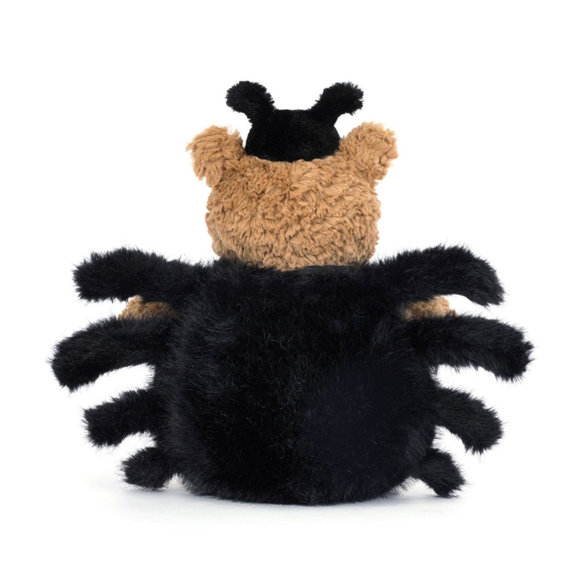 Bartholomew Bear Spider