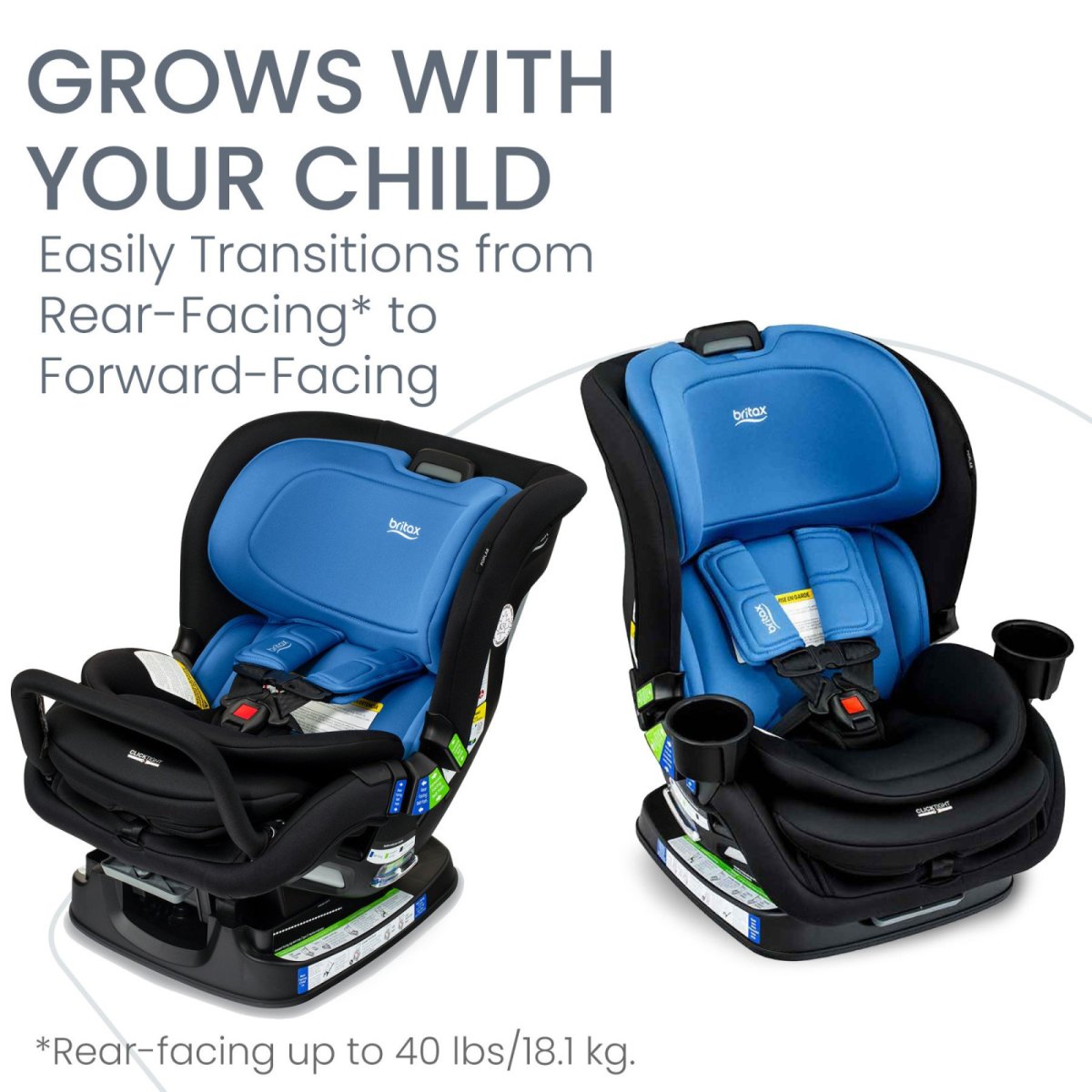 Poplar Convertible Car Seat - Cobalt Onyx