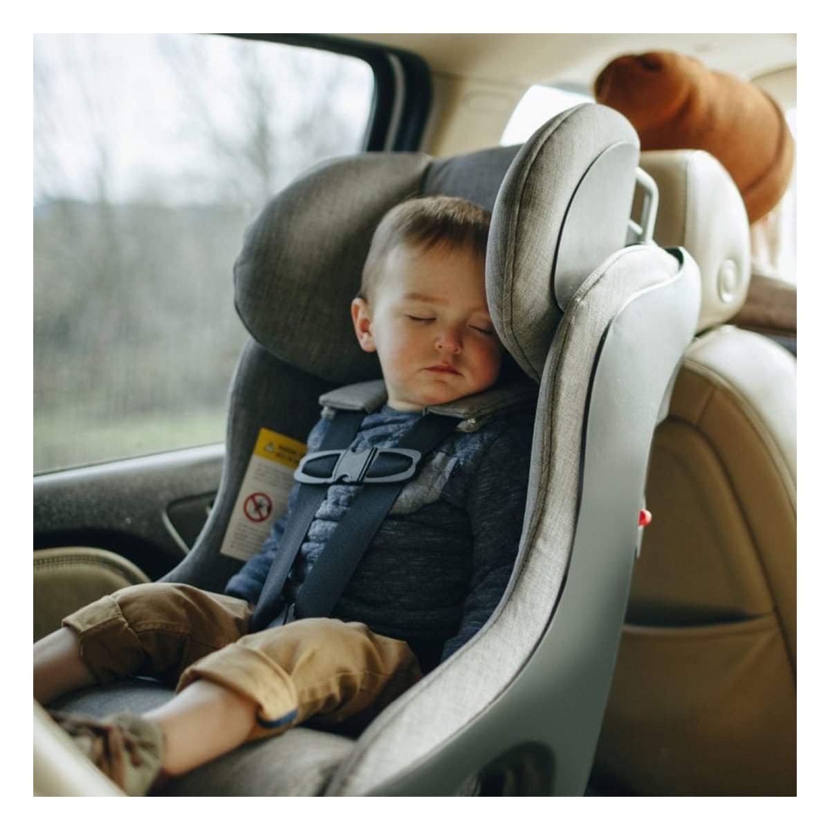 Fllo Convertible Car Seat Highlands Ziip