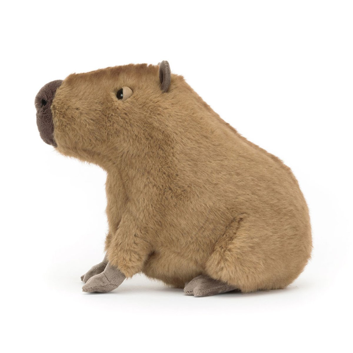 Clyde Capybara