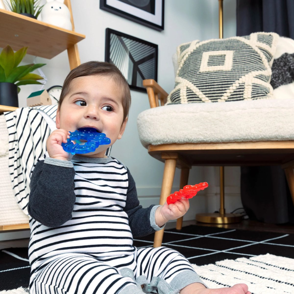 Cool Critters Teether Toy Set