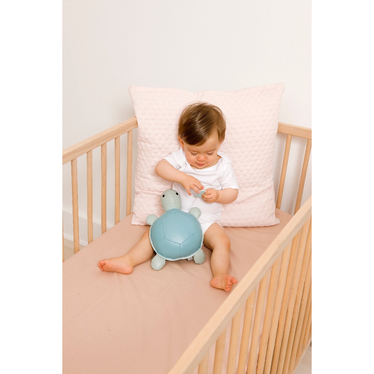 Musical Animals - Emilie the Turtle