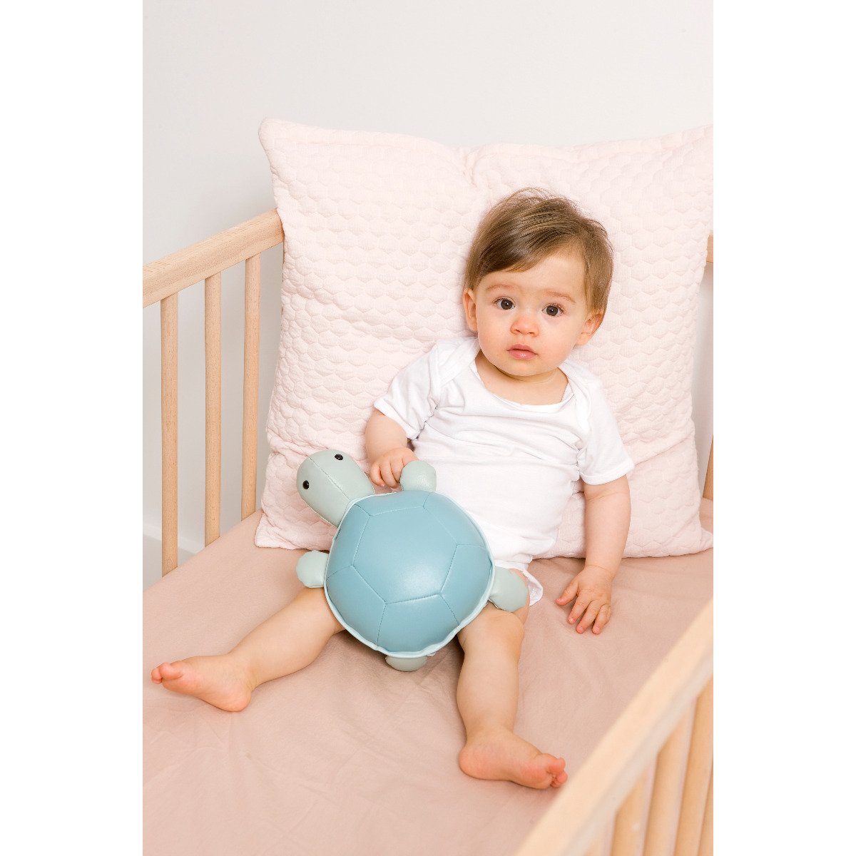 Musical Animals - Emilie the Turtle