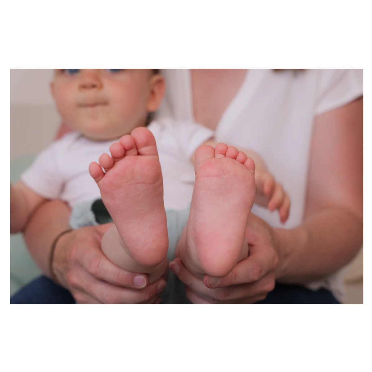 Double Frame - Olive Tree