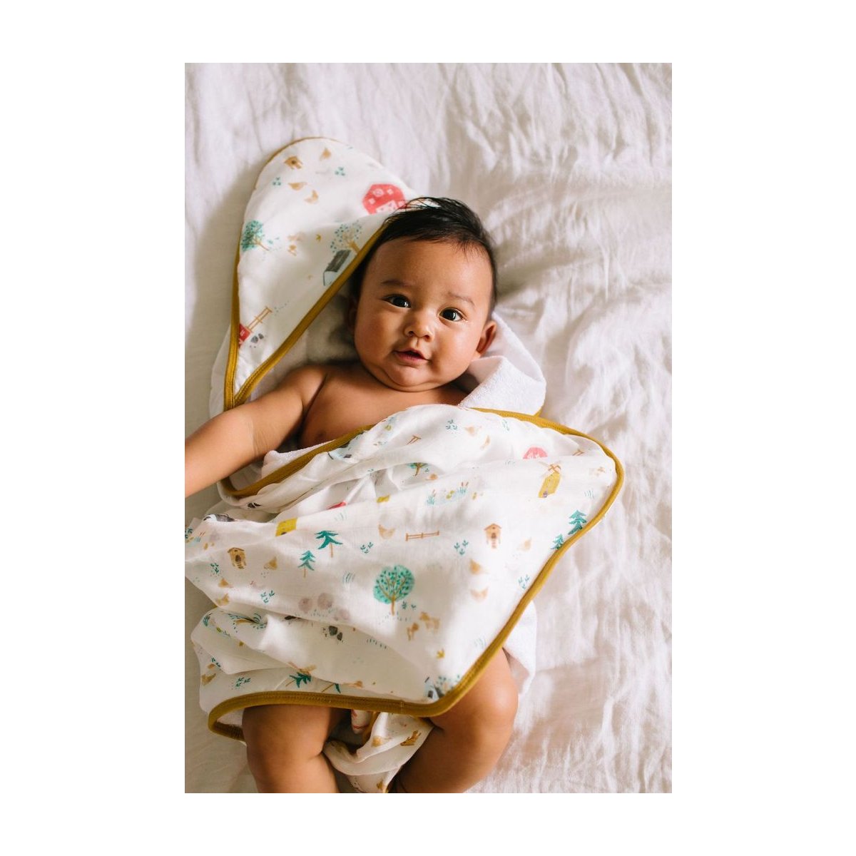 Hooded Towel Set - Farm Animals