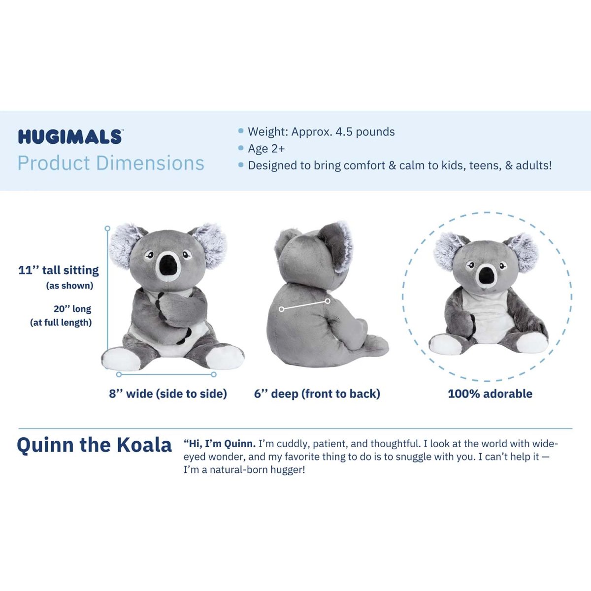 Quinn The Koala
