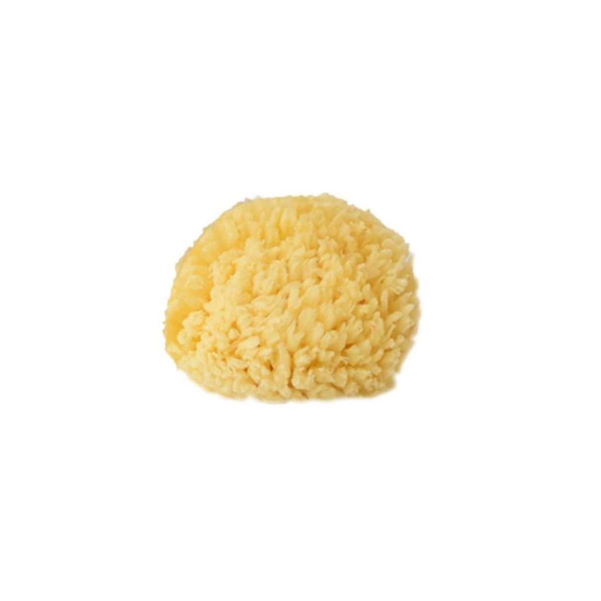 Natural Sea Sponge 4 - 4.5