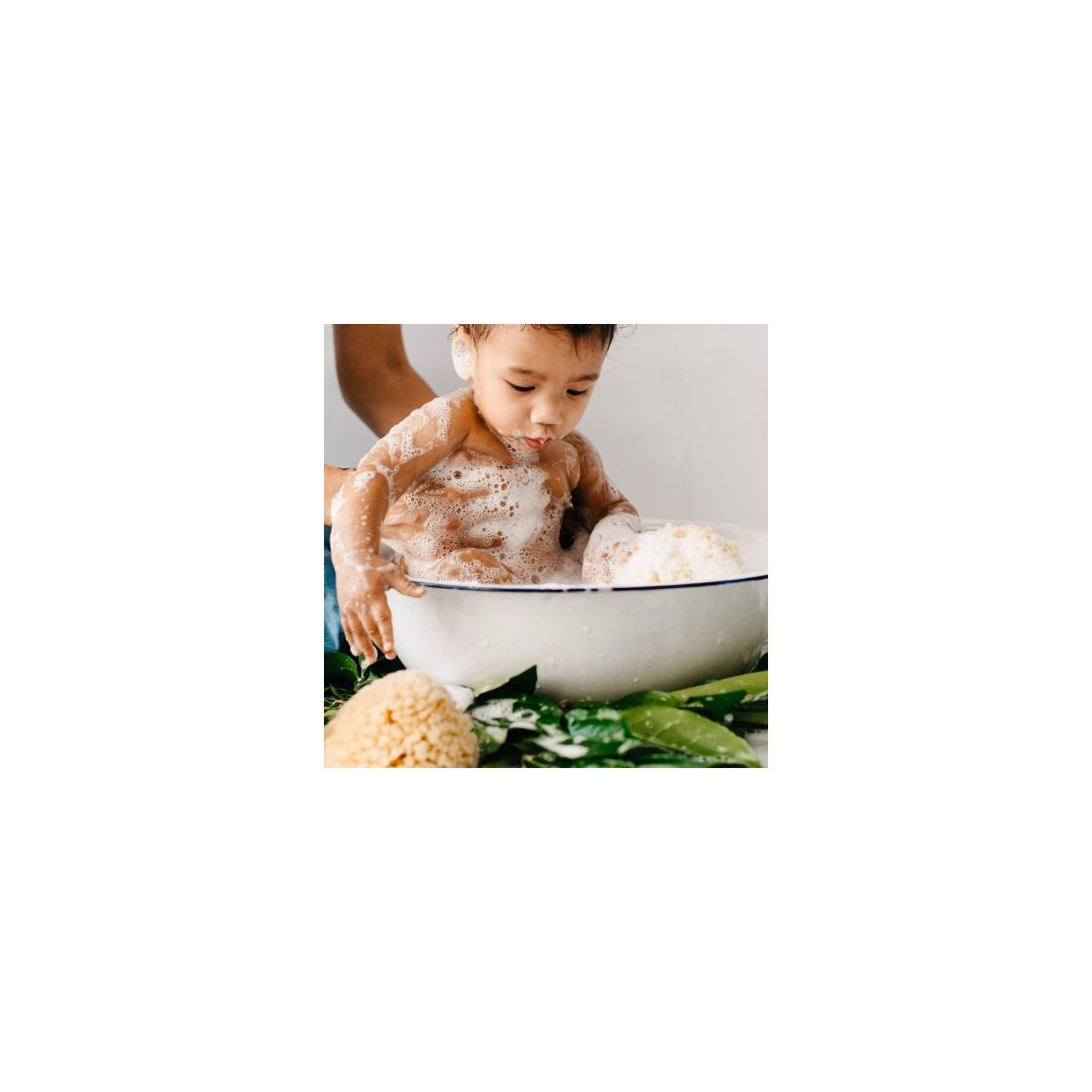 Natural Sea Sponge 4 - 4.5