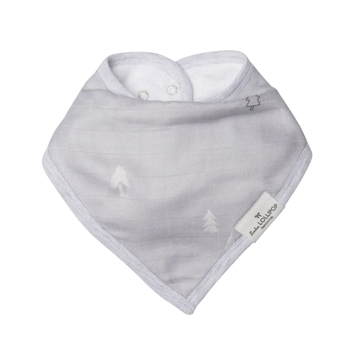 Bandana Bib 2 Pack -  - Dinosaurs