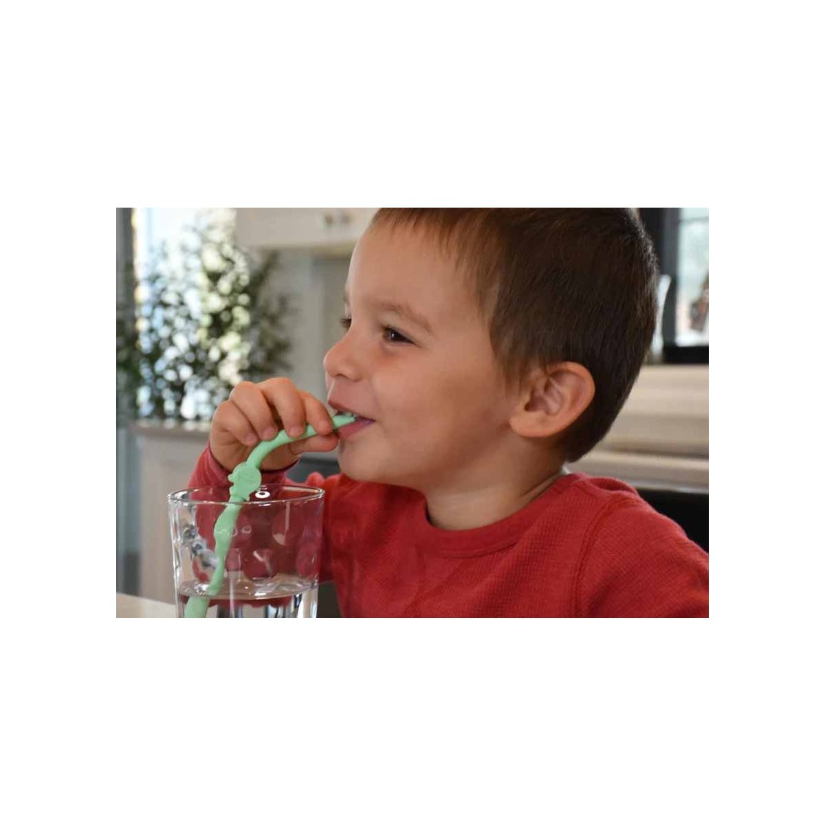 Silicone Animal Straws - set of 6