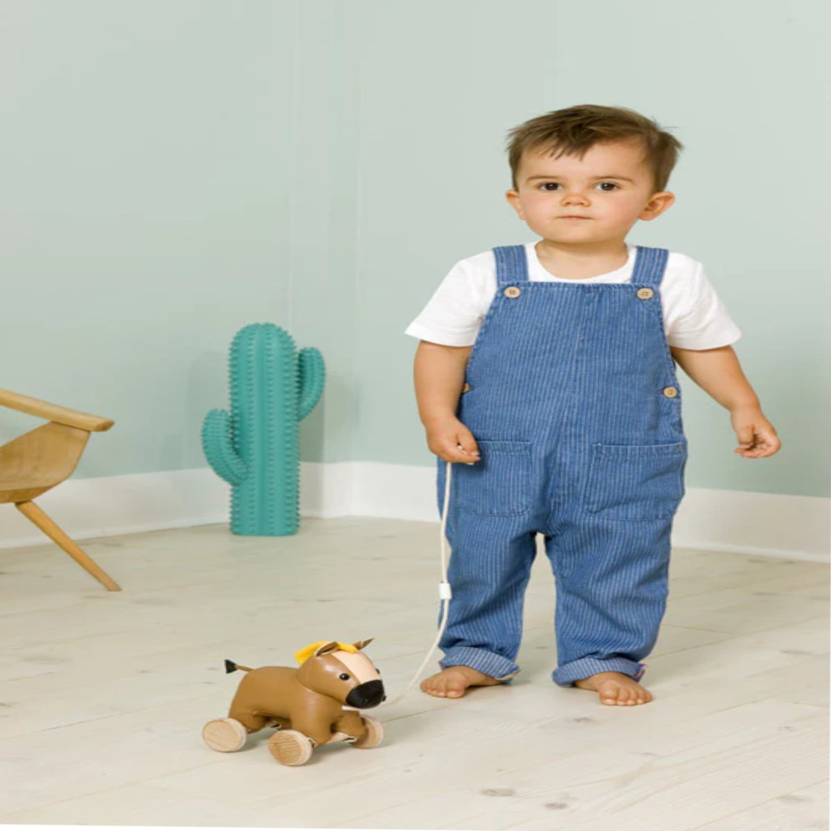 Pull Along Toy - Charles the Horse