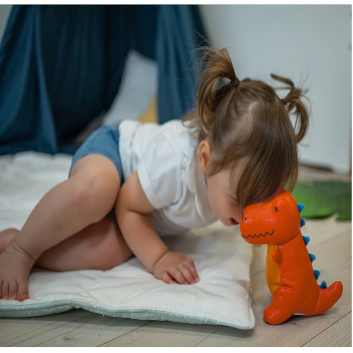 Rex the Tyrannosaurus