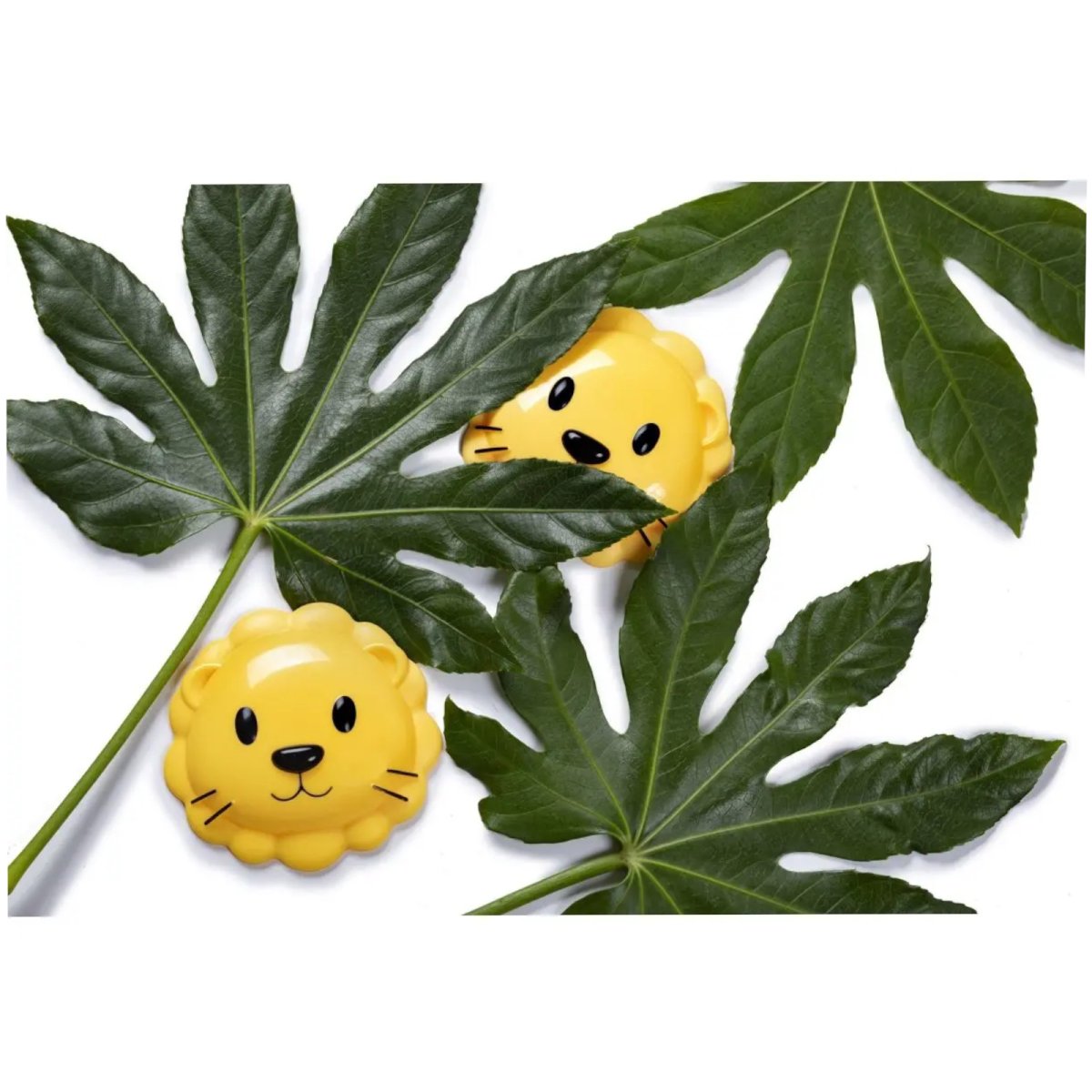 Snack Container - Lion