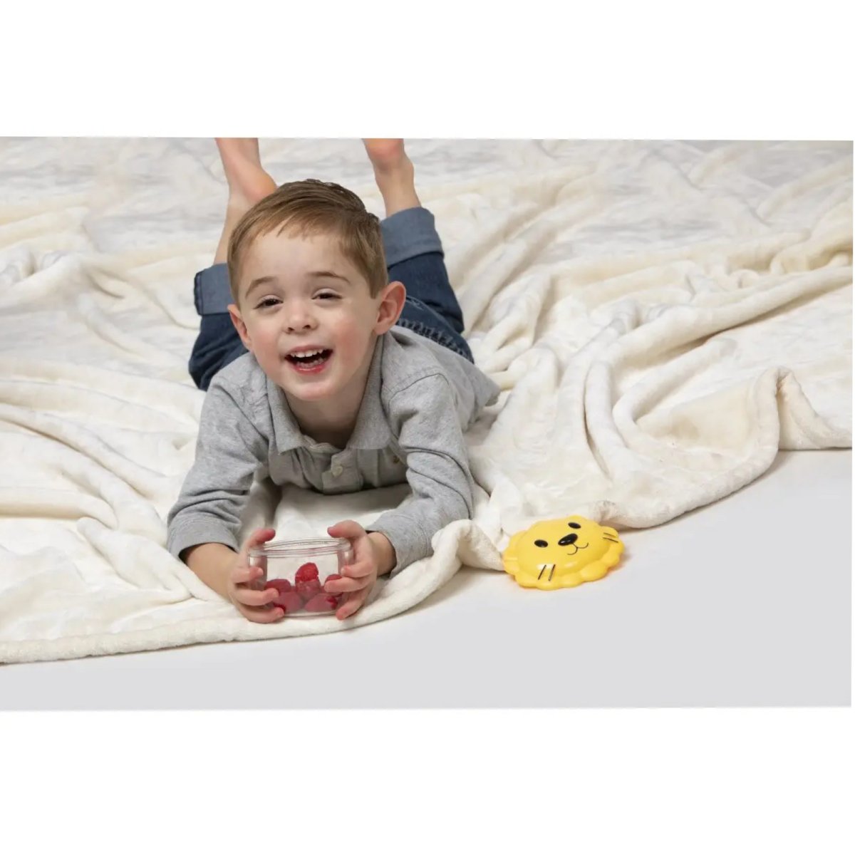 Snack Container - Lion