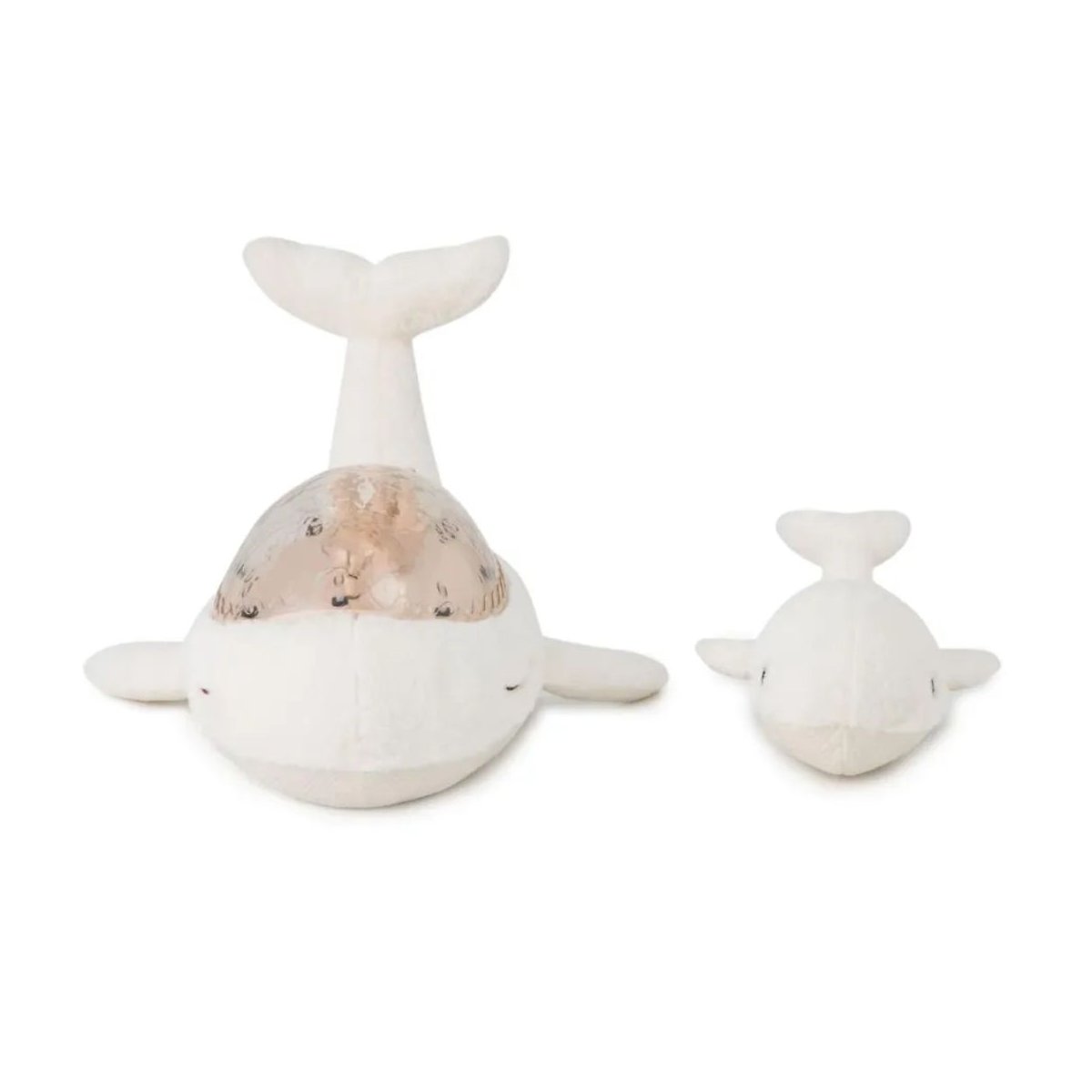 Tranquil Whale - White