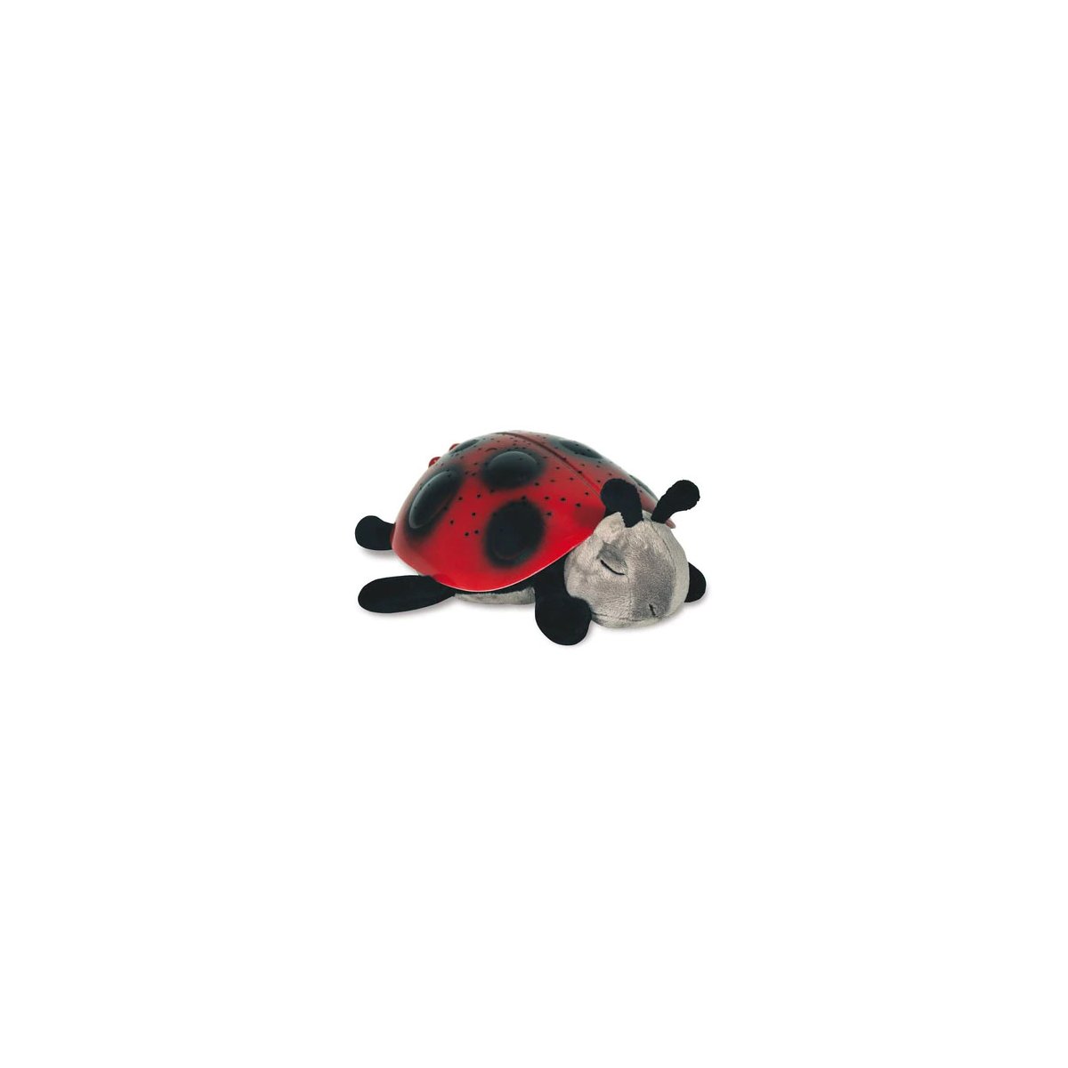 Twilight Ladybug